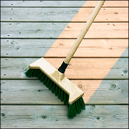 Le printemps est là