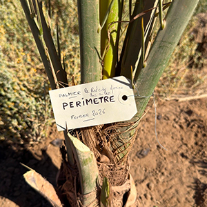 PERIMETRE Bab El Raid