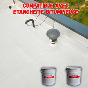Peinture réflective